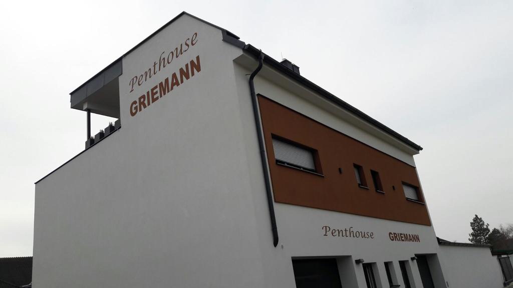 Penthouse Griemann 2 Fuer Max 4 Personen Mit Eigener Grosser Dachterrasse Zum Relaxen! イルミッツ エクステリア 写真